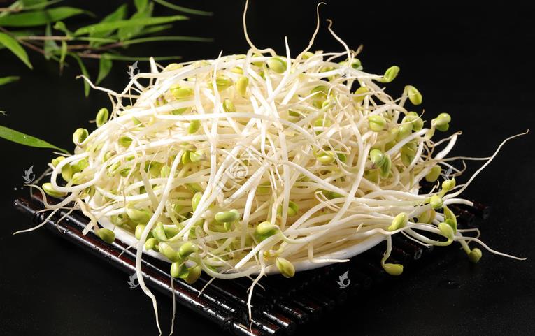 無公害綠色豆芽，怎么生產(chǎn)出來的？全套生產(chǎn)過程如此方便智能
